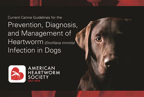 Founded During The Heartworm Symposium Of 1974, The American Heartworm Society Aims to further scientific progress in the study of heartworm disease inform the membership of new developments, encourage and help promote effective procedures for the diagnosis, treatment and prevention of heartworm disease